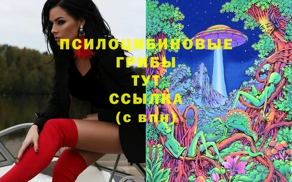гашишное масло Козельск